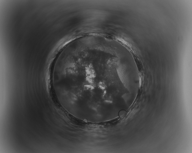 X0000094820339200711161532