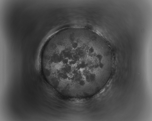 X0000094820343200711161532