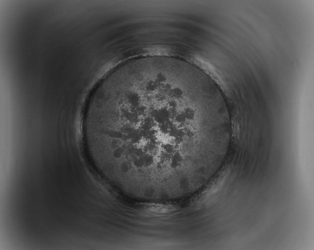 X0000094820347200711161532