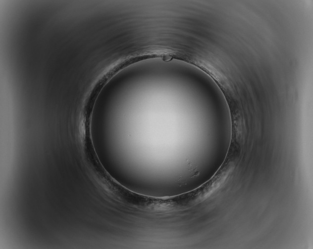 X0000094820350200711161532
