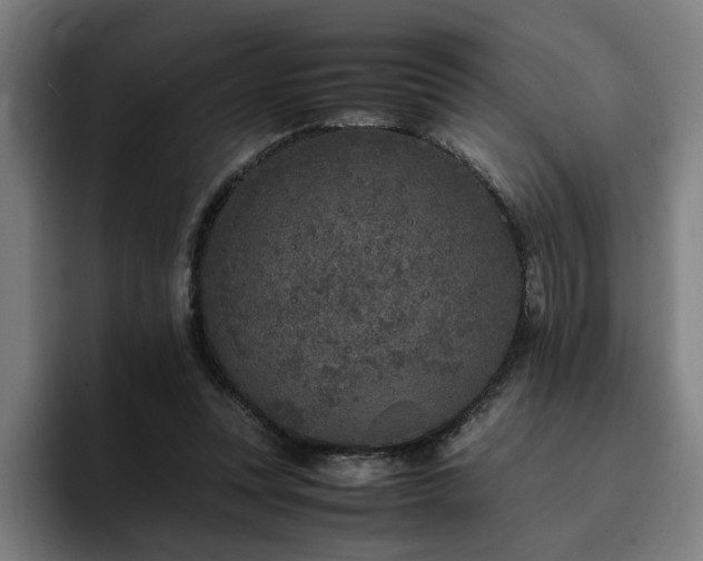 X0000094820351200711161532