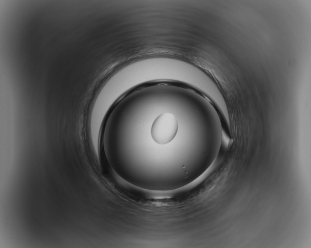X0000094820352200711161532