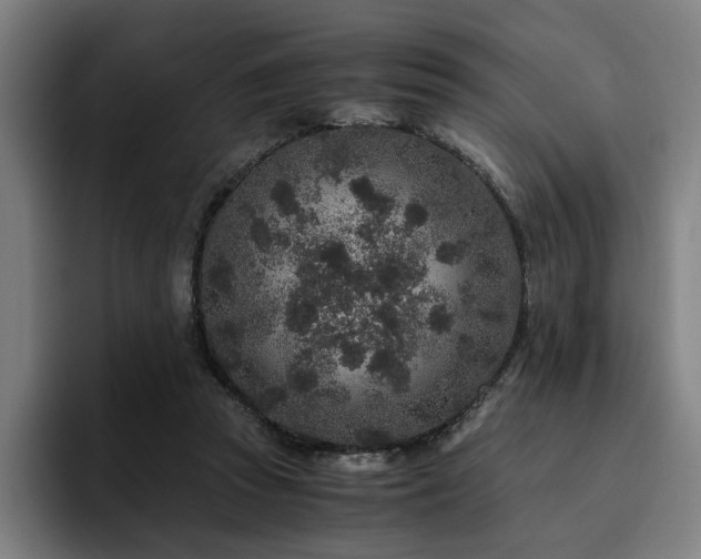 X0000094820353200711161532