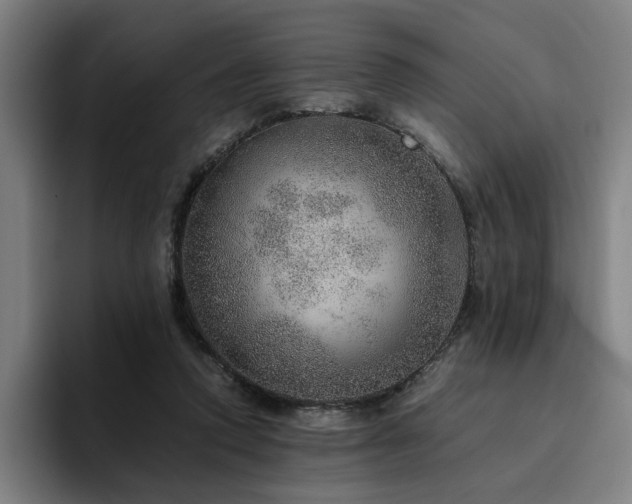 X0000094820354200711161532