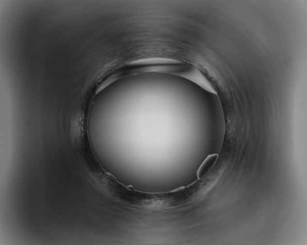 X0000094820356200711161532