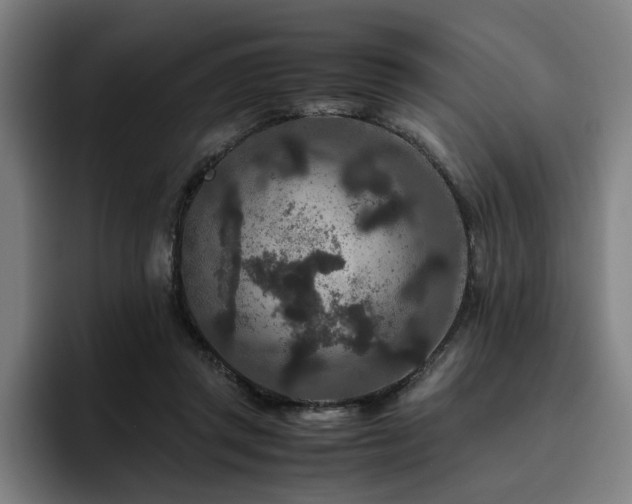 X0000094820357200711161532