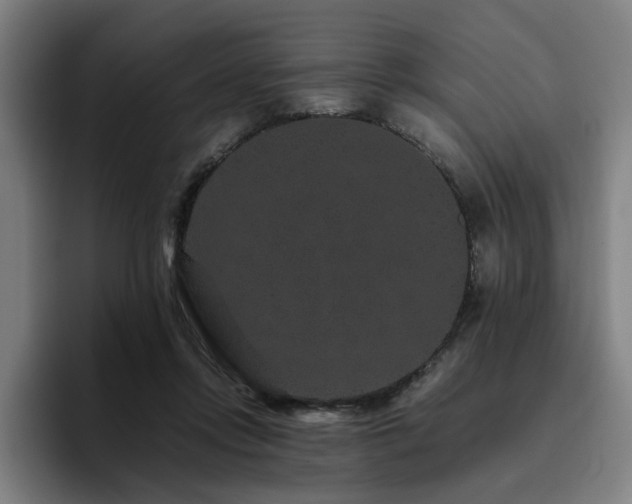 X0000094820358200711161532