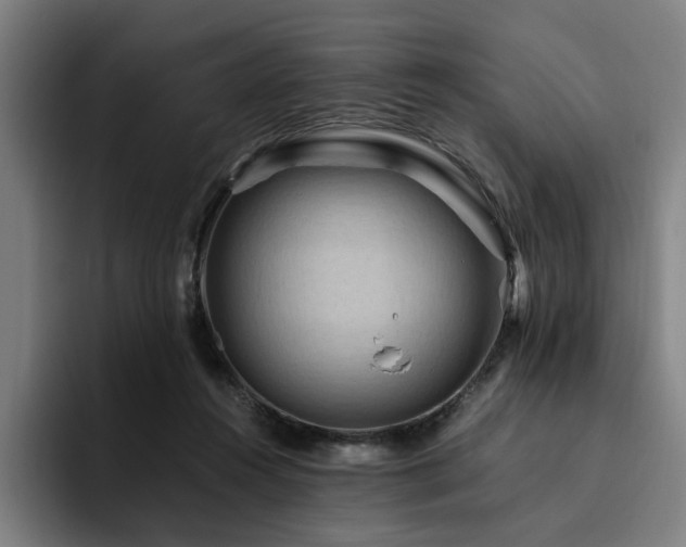 X0000094820360200711161532