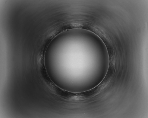 X0000094820364200711161532