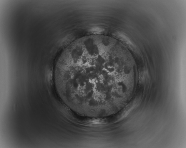 X0000094820365200711161532
