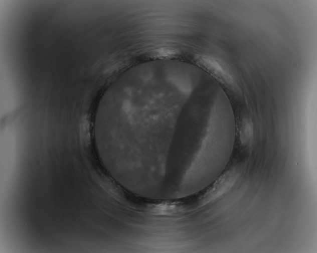 X0000094820366200711161532