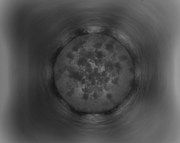 X0000094820367200711161532
