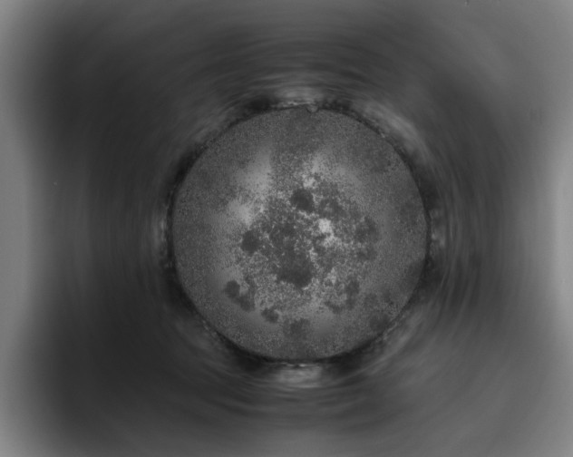 X0000094820369200711161532
