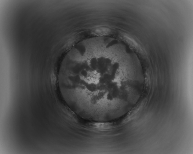 X0000094820371200711161532