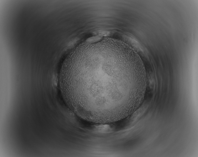 X0000094820374200711161532