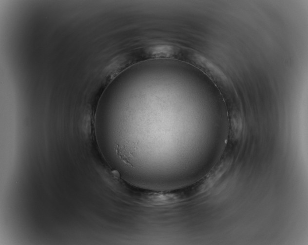 X0000094820379200711161533