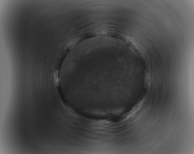 X0000094820383200711161533
