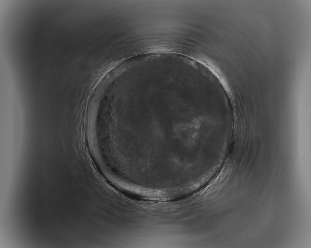 X0000094820385200711161532