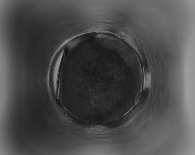 X0000094820387200711161532