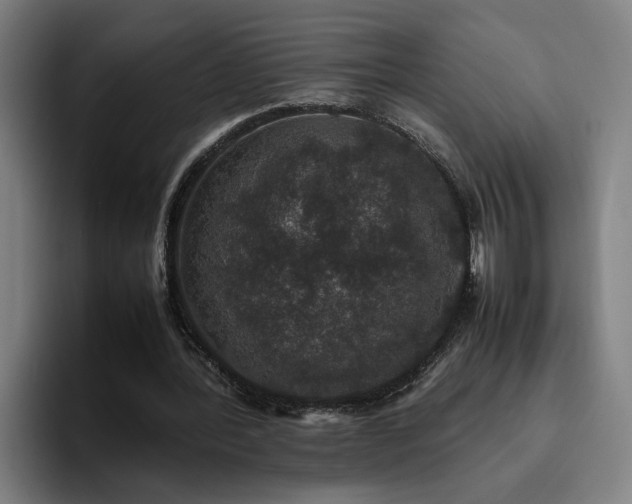 X0000094820388200711161532