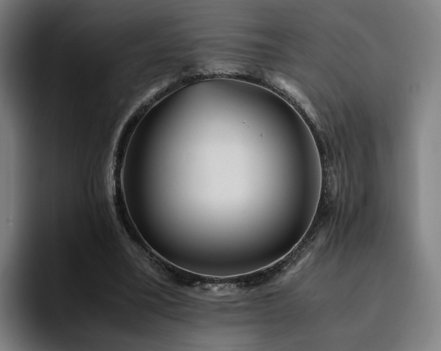 X0000094820395200711161532