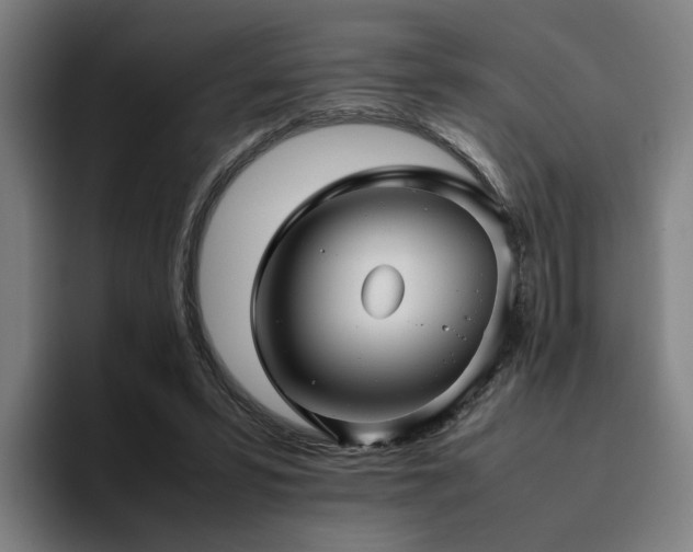 X0000094820399200711161532