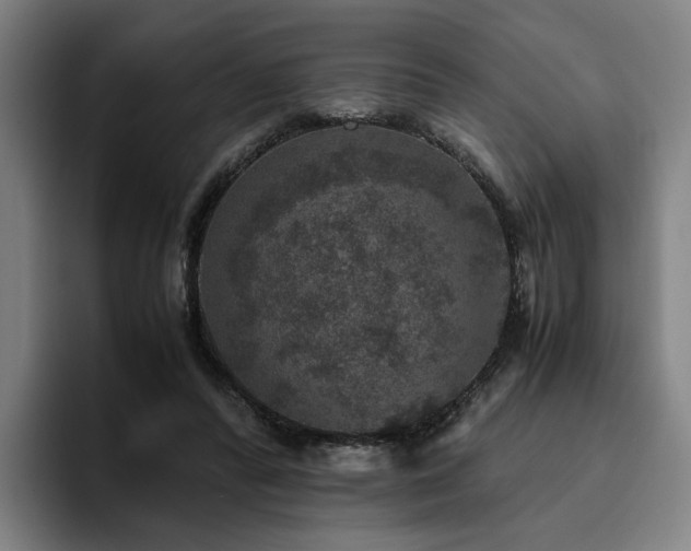 X0000094820400200711161532