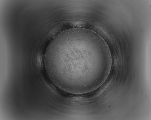 X0000094820408200711161532
