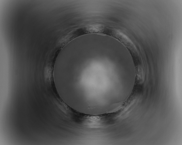 X0000094820409200711161532