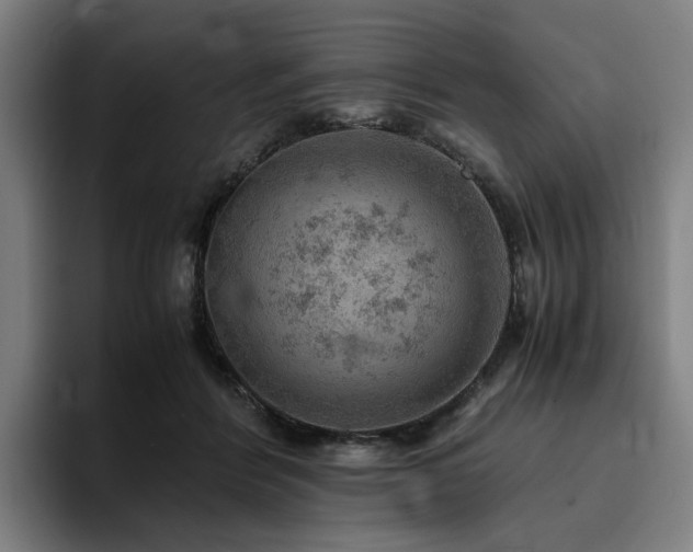 X0000094820412200711161532
