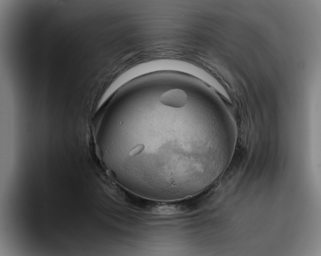 X0000094820413200711161532