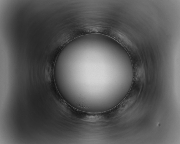 X0000094820414200711161532