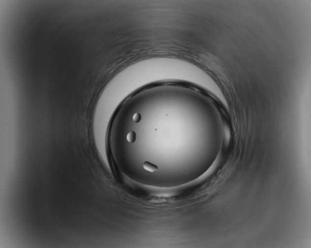 X0000094820415200711161532