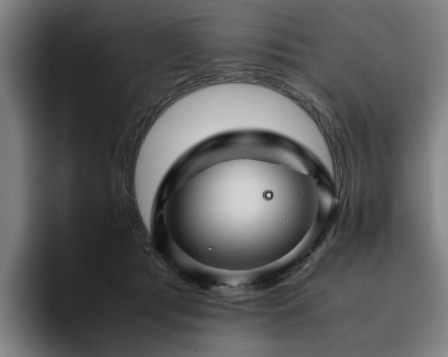 X0000094820417200711161532