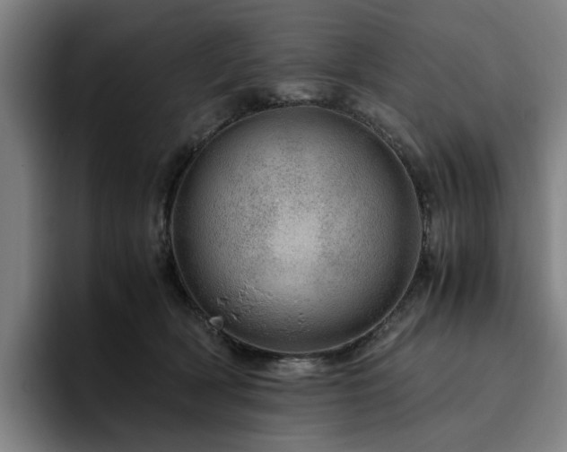 X0000094820418200711161532
