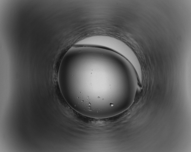 X0000094820419200711161532