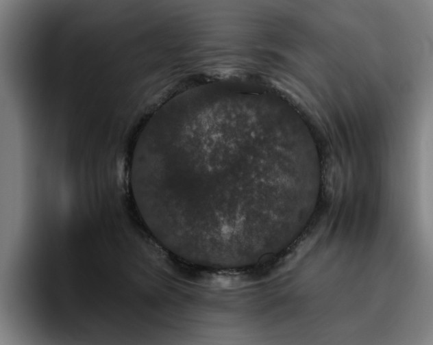 X0000094820420200711161532