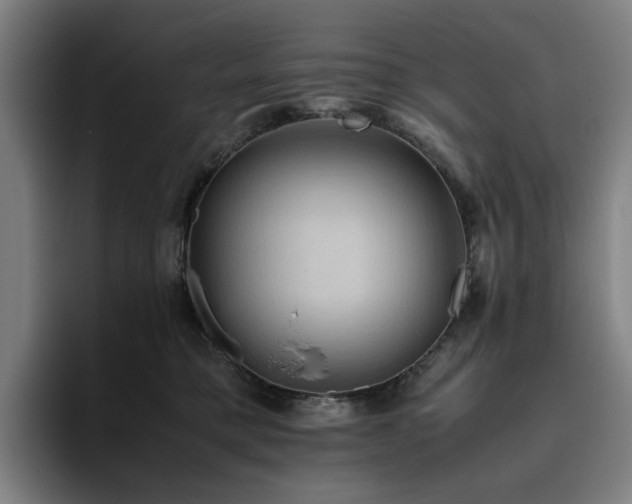 X0000094820421200711161532