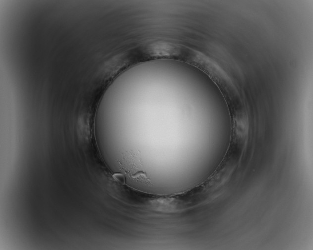 X0000094820422200711161532