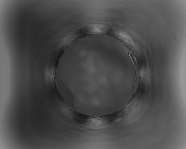 X0000094820423200711161531