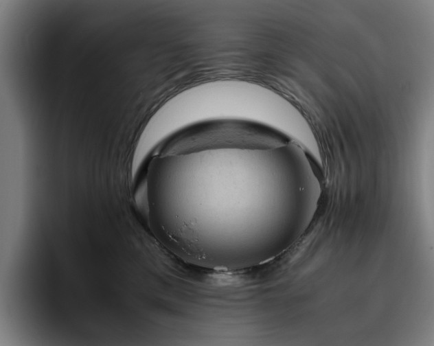 X0000094820425200711161531