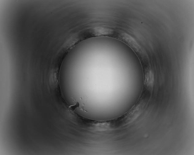 X0000094820426200711161531