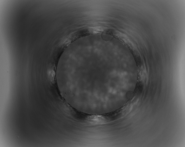 X0000094820427200711161531