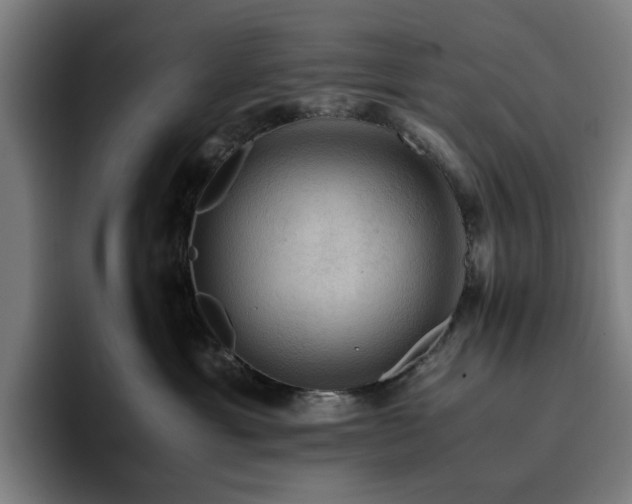 X0000094820429200711161531