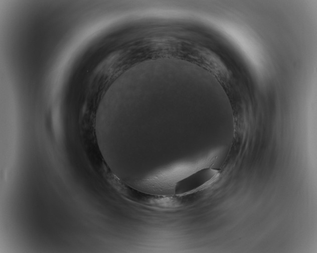 X0000094820431200711161531
