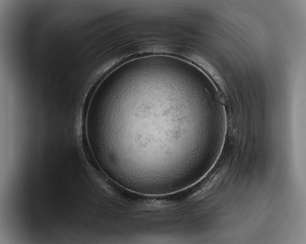 X0000094820437200711161531