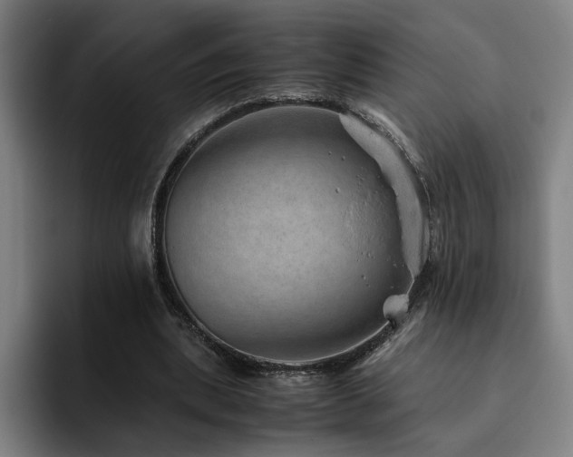 X0000094820439200711161531