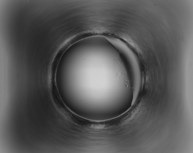 X0000094820440200711161531