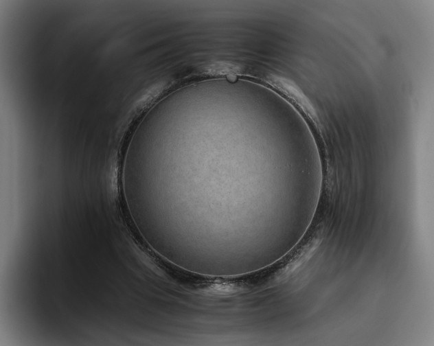 X0000094820441200711161531
