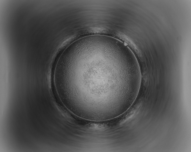 X0000094820442200711161531